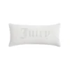 Big Bling Pillow