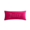 Big Bling Pillow