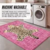 Finely Washable Rug, 5′ X 7′