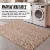 Finely Washable Rug, 5′ X 7′