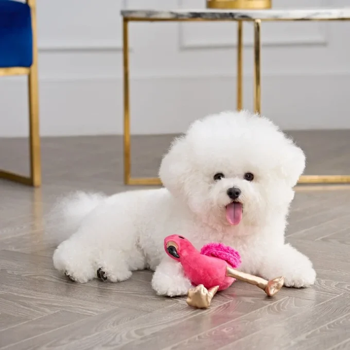 Fun Flamingo Squeaky Pet Toy