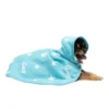 Hooded Pet Towel