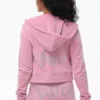 Og Big Bling Velour Hoodie