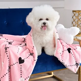Pet Blanket & Pillow Set Pet Blanket & Pillow Set
