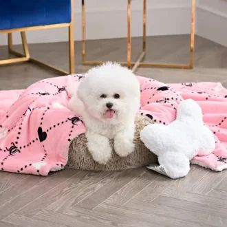 Pet Blanket & Pillow Set Pet Blanket & Pillow Set