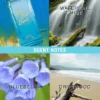Rock the Rainbow Bye Bye Blues Eau De Toilette Spray