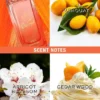 Rock the Rainbow Oh So Orange Eau De Toilette Spray