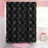 Shower Curtain and Hooks Set