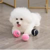 Tennis Balls for Pets