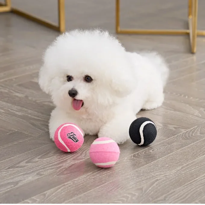 Tennis Balls for Pets